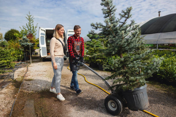 Best Tree Pruning Services  in Lake Riverside, CA